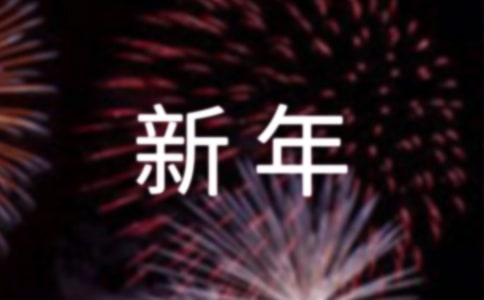 新年销售工作计划范文(优选)