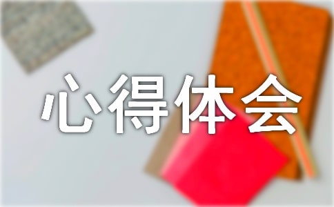 寒假实践心得体会15篇
